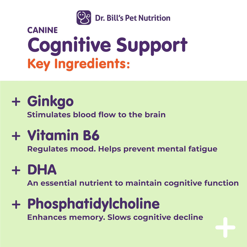 Dr. Bill's ingrédients clés DHA, Ginkgo Biloba et vitamines B.