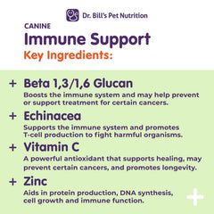 Soutien immunitaire canin Dr. Bill’s — chien senior heureux et équilibré.
