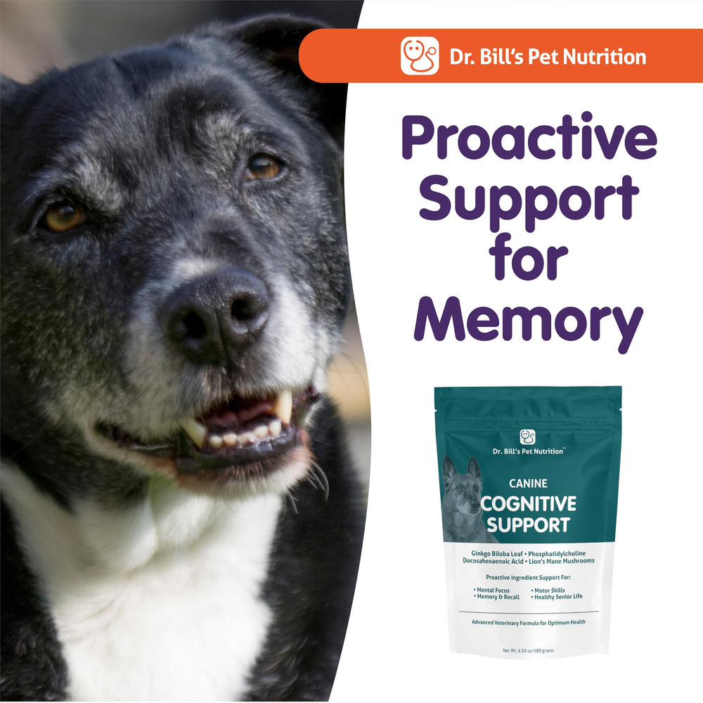 Dr. Bill's mode d'emploi quotidien pour chien mature.