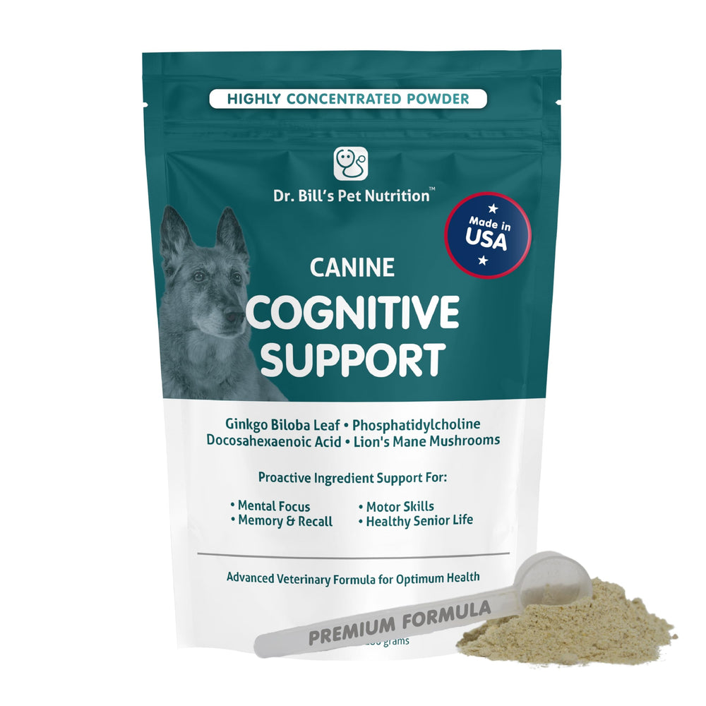 Dr. Bill's soutien cognitif chien, crinière de lion, pour la concentration.