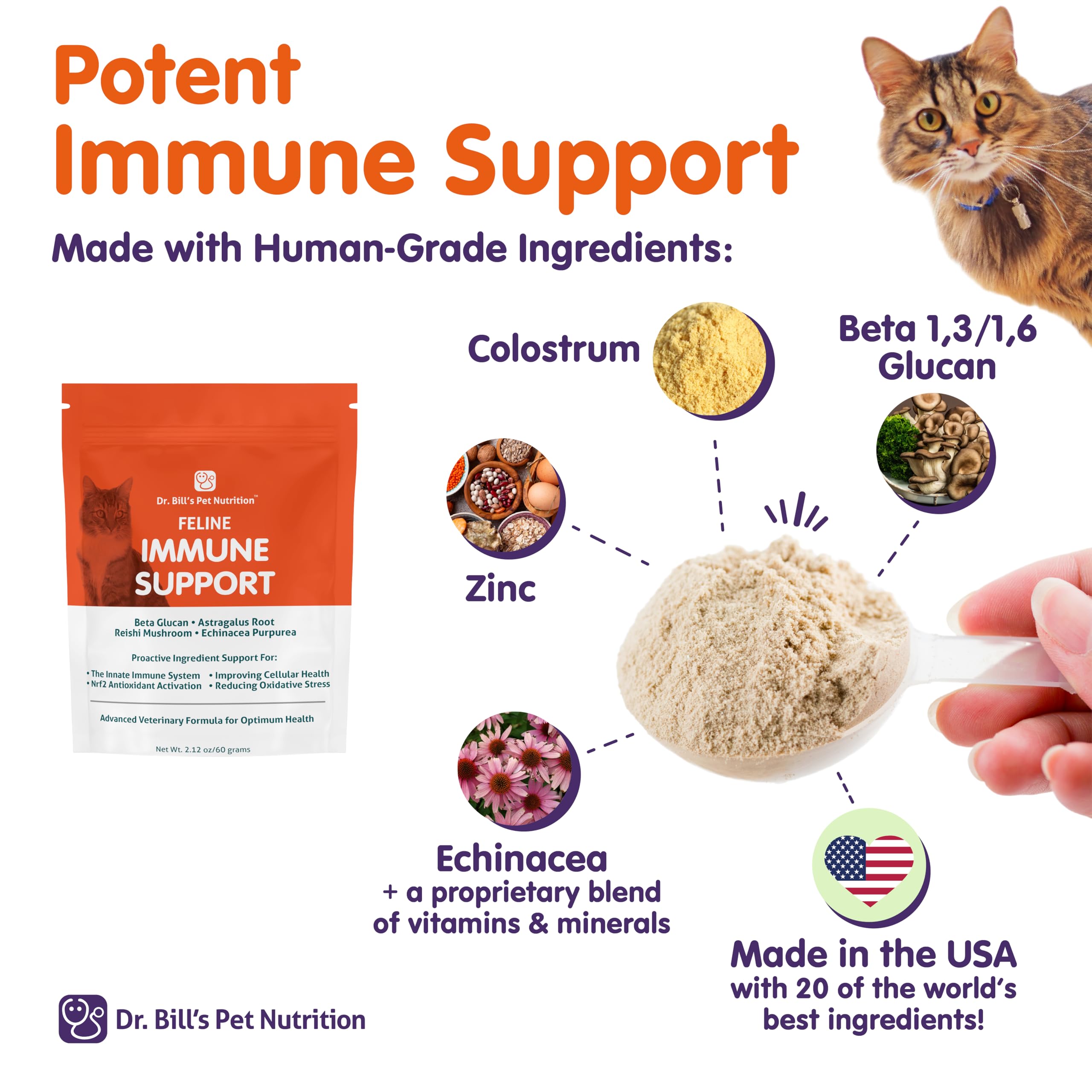 Vitamine C dans Dr. Bill’s, antioxydant et soutien cellulaire pour les chats.