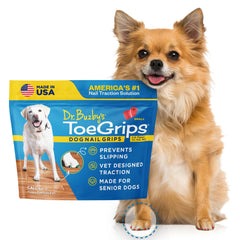 Dr. Buzby's ToeGrips appliqués sur les ongles du chien pour une adhérence immédiate.