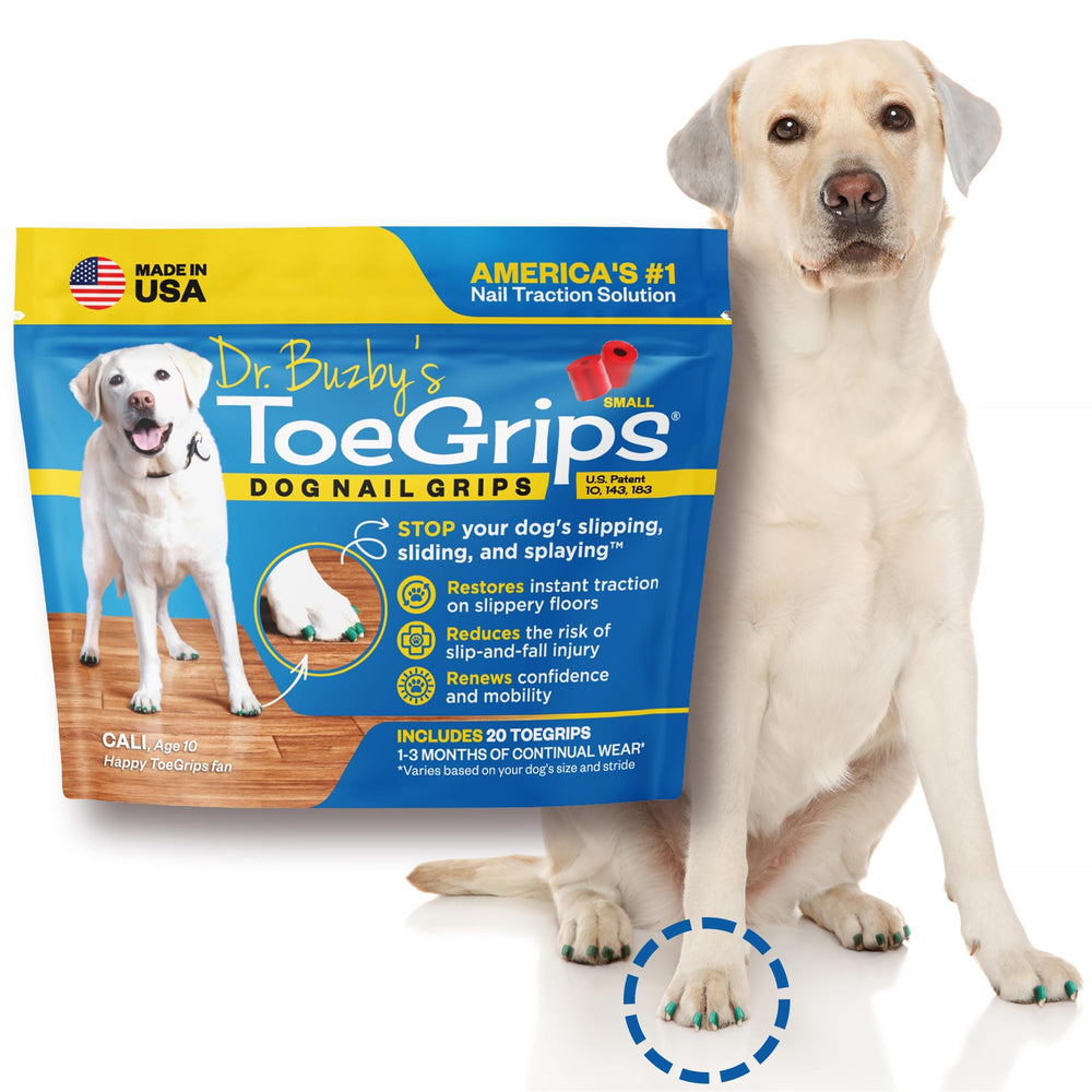 Chien senior marche plus confiant sur sol lisse grâce à ToeGrips.