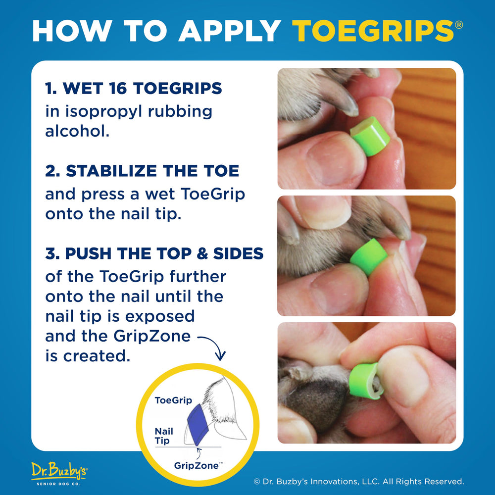 ToeGrips XLarge pour chien âgé, soutien lors des déplacements