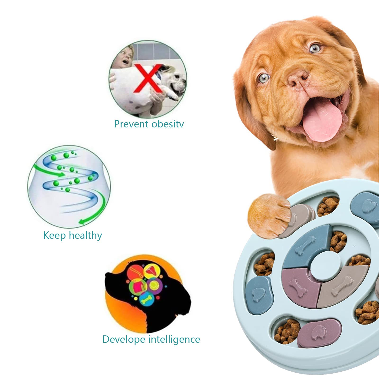 DR CATCH Puzzle stimulation mentale, jeu éducatif pour chien