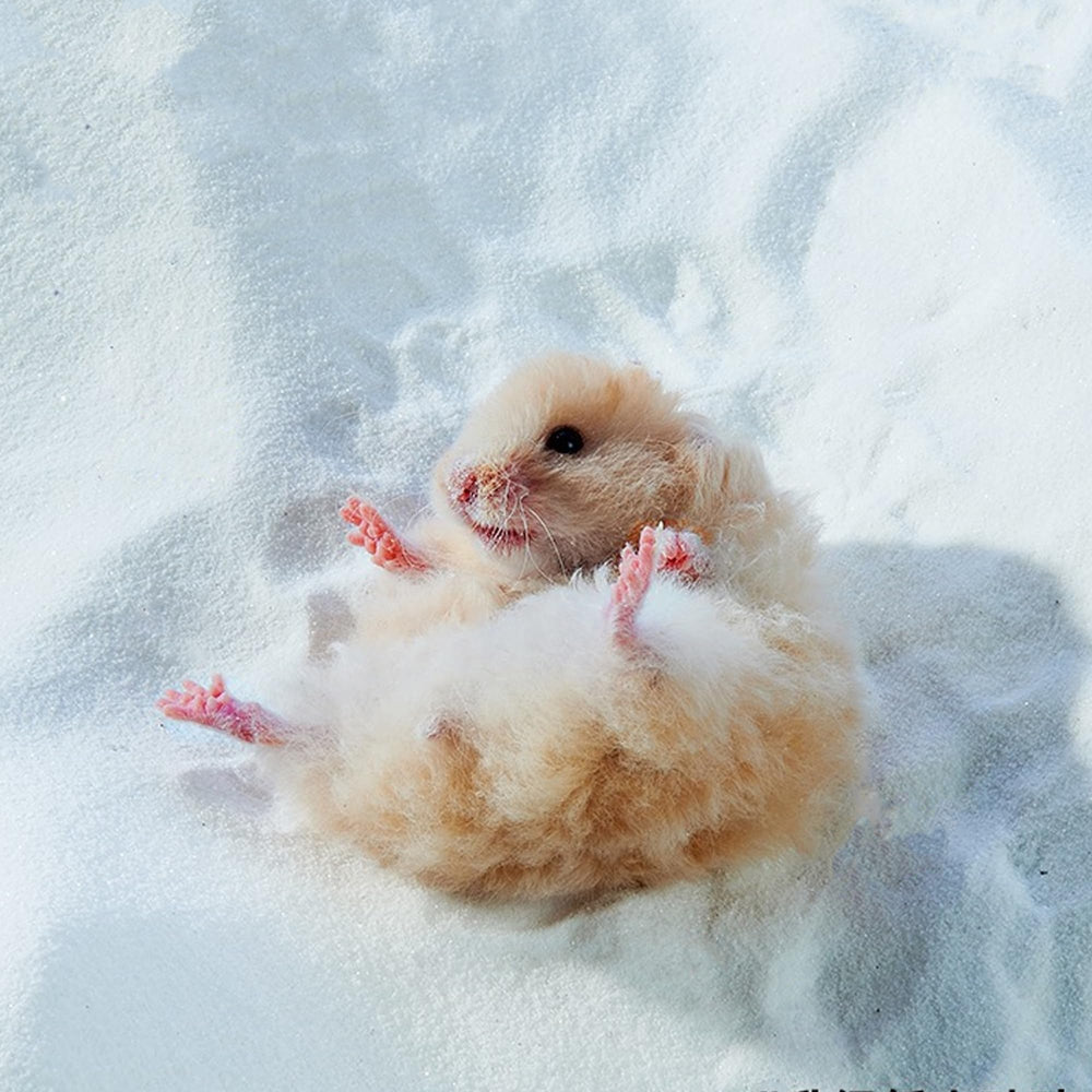 DR.DUDU emballage-fermeture-conserve-frais-sable-hamster prêt à l'emploi.