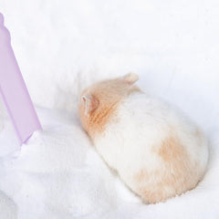 DR.DUDU sable-bain-gerbilles-chinchillas permet des bains adaptés.