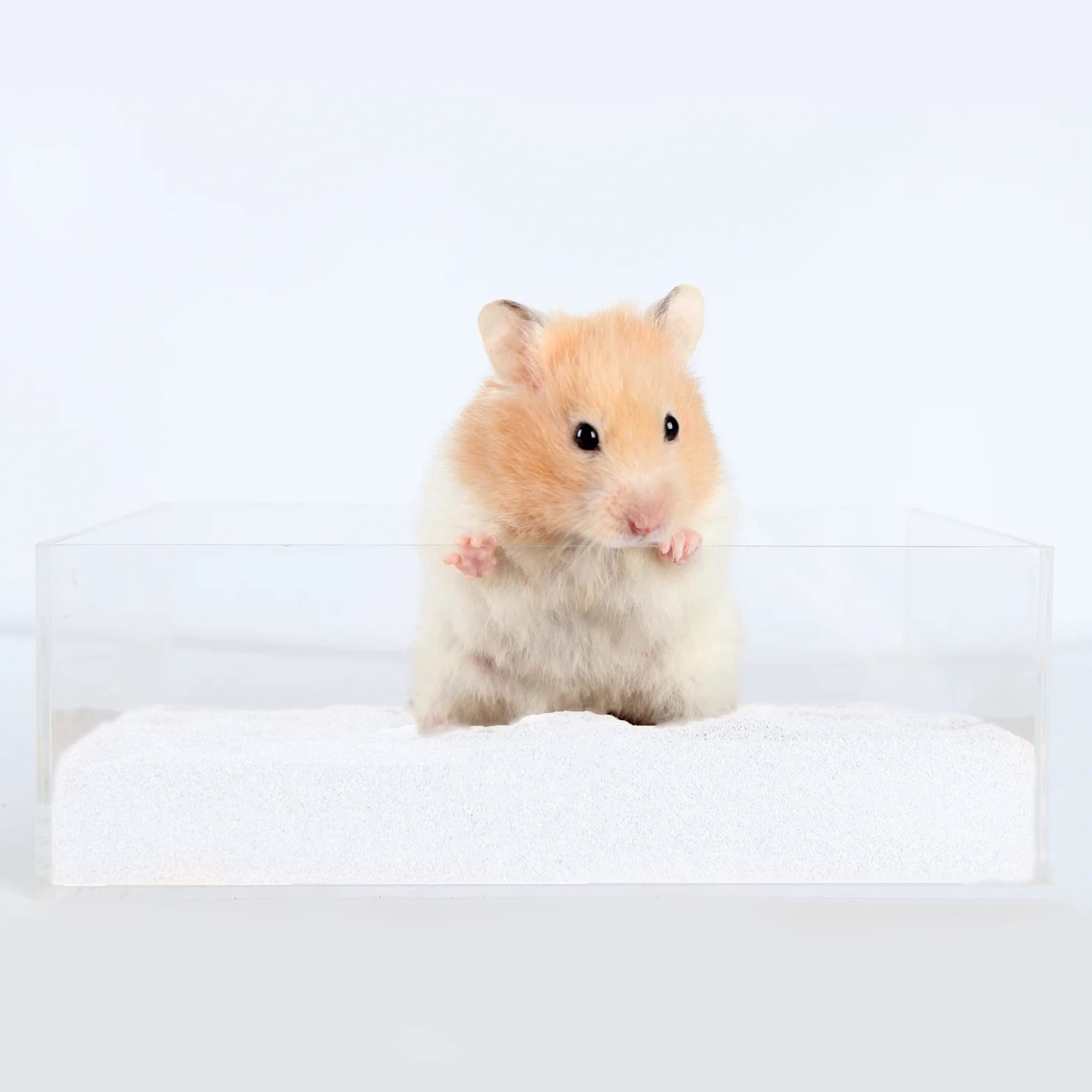 DR.DUDU Sable bain hamster: nettoyage efficace du pelage.