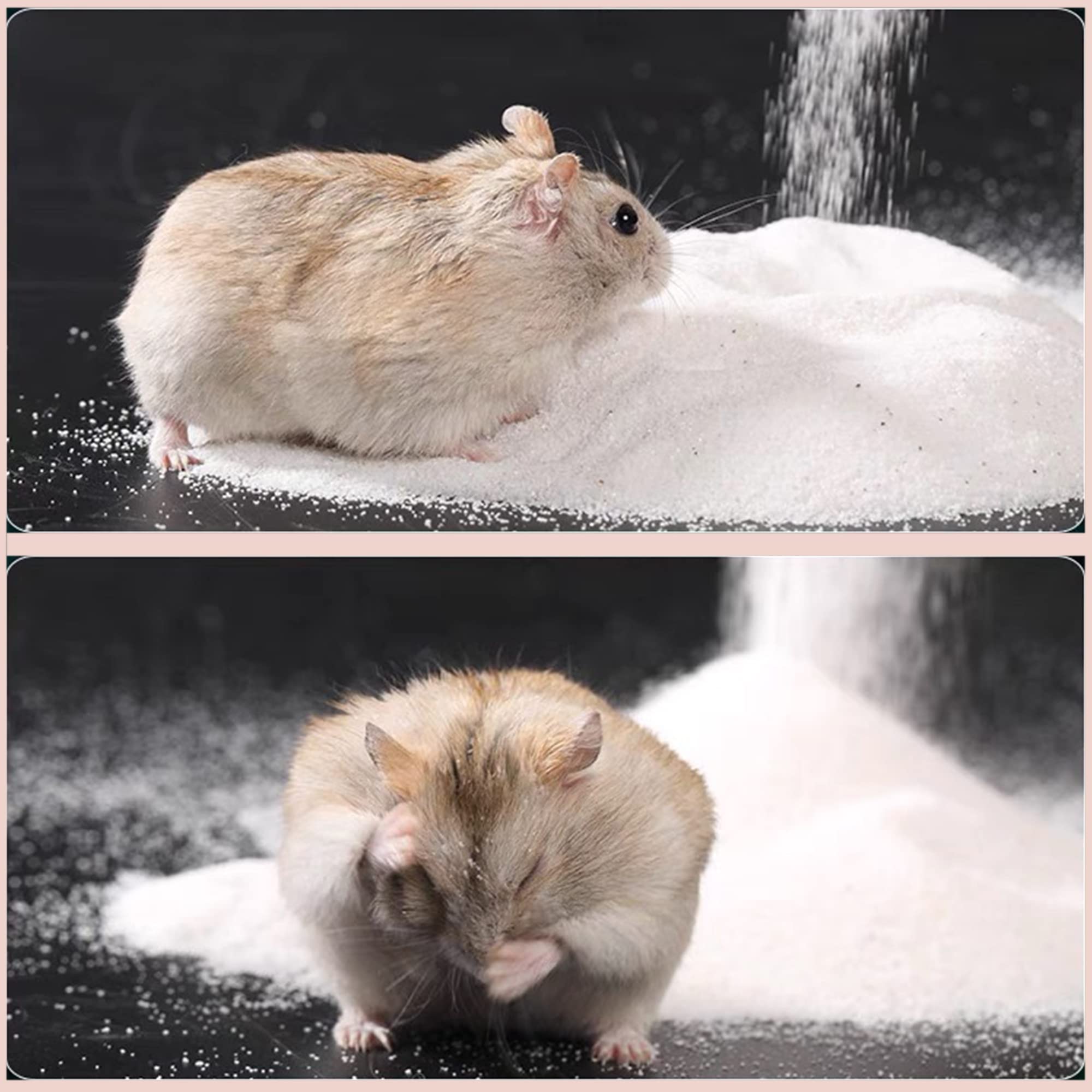 DR.DUDU Sable bain hamster: pelage brillant et sec.