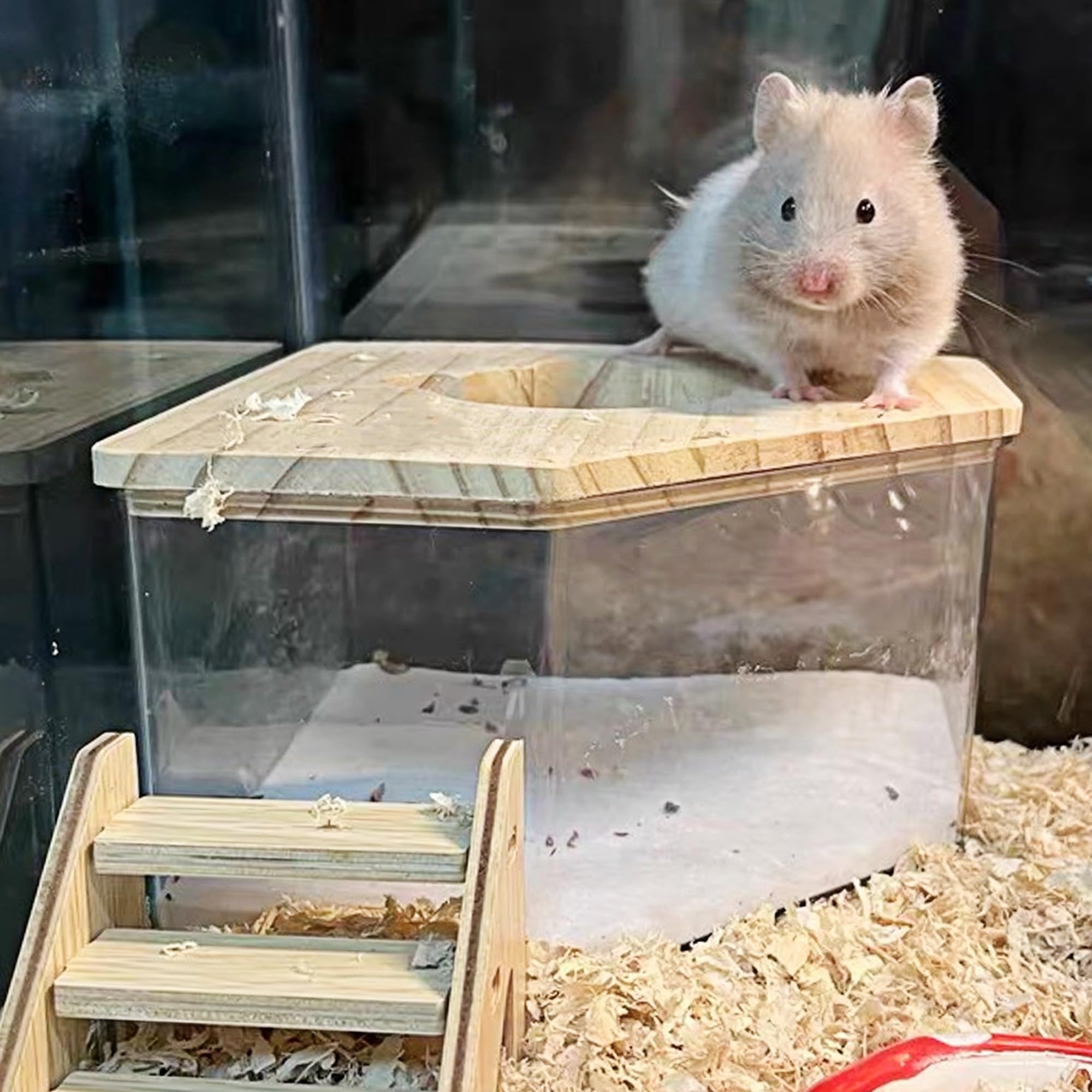 DR.DUDU Sable hamster habitat-propre – aide à maintenir l’habitat propre et sain