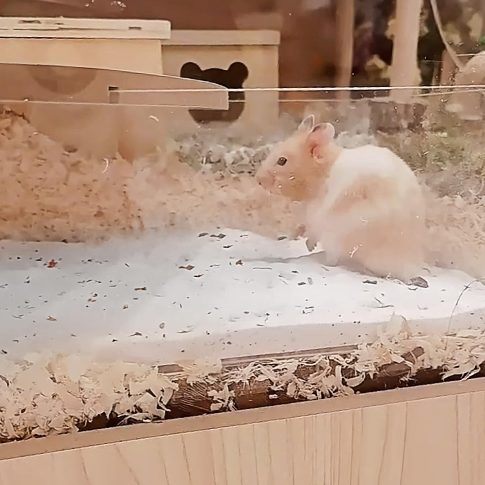DR.DUDU Sable hamster roulage – hamster se roule pour stimulation ludique