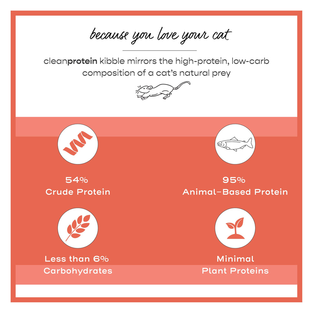 Portion quotidienne de Dr. Elsey's Cleanprotein saumon pour une routine simple.