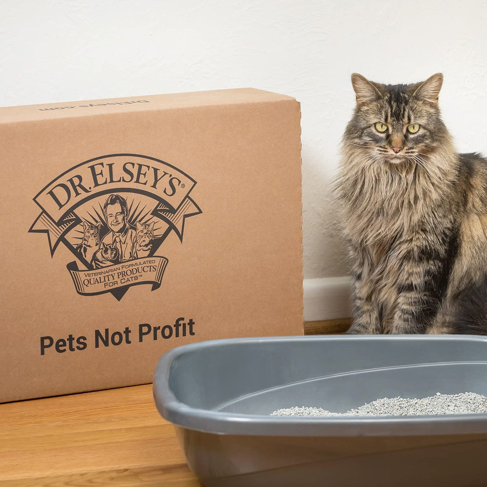 Dr. Elsey's Precious Cat Classic bentonite grains pour clumping durable