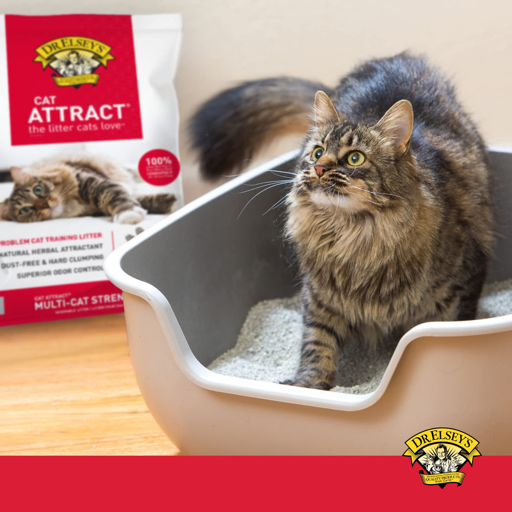 Dr. Elsey's Cat Attract – bentonite premium pour une meilleure agglomération.