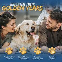 Gélules CogniCaps visibles, faciles à administrer pour chiens âgés