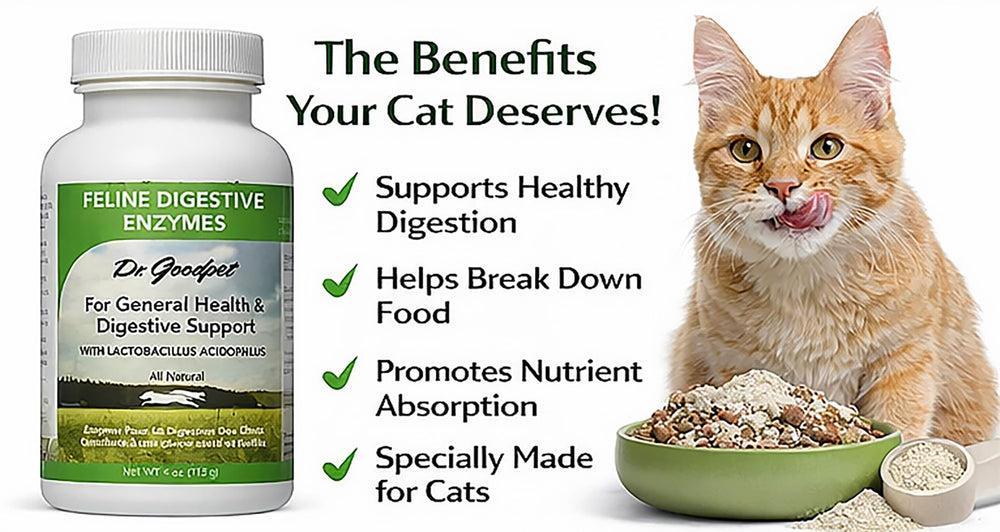 Dr. Goodpet : ingrédients végétaux; enzymes et prébiotiques pour une digestion équilibrée du chat.
