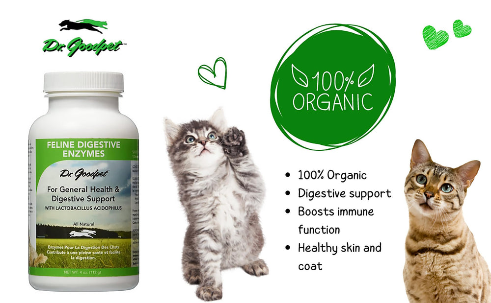 Dr. Goodpet : mélanger la poudre dans les plats; goût neutre apprécié par les chats.