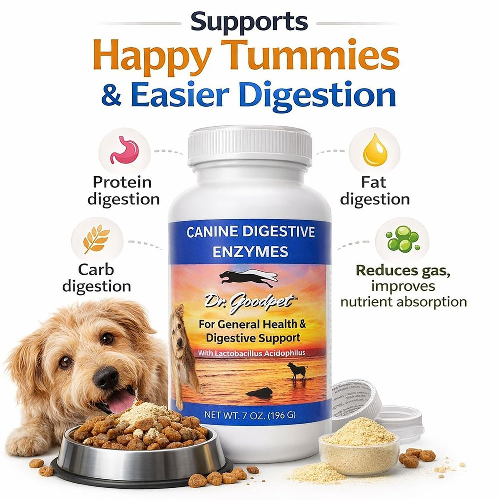 Dr. Goodpet Poudre Digestive Chien Cuillere Doseuse simplifie l administration des repas