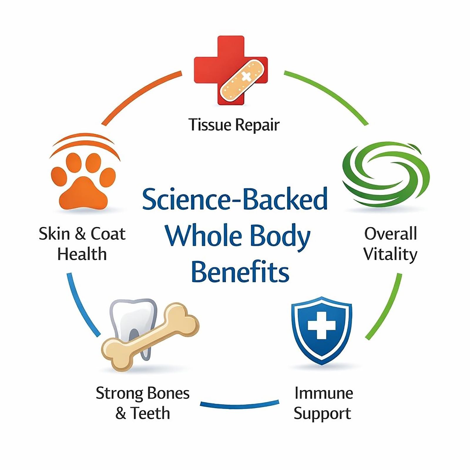 Dr. Goodpet Poudre Digestive Chien Enzymes naturelles pour digestion