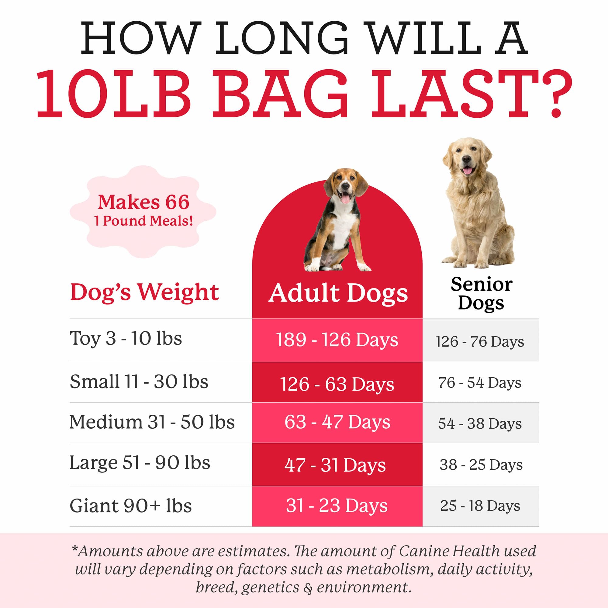 Dr. Harvey's Canine Health Miracle: bol prêt à servir après mélange.