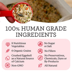Dr. Harvey's Canine Health Miracle: coquilles d'œufs broyées pour calcium et texture croquante.
