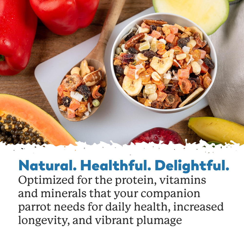Dr. Harvey's Mélange protéines et fibres pour équilibre nutritionnel.