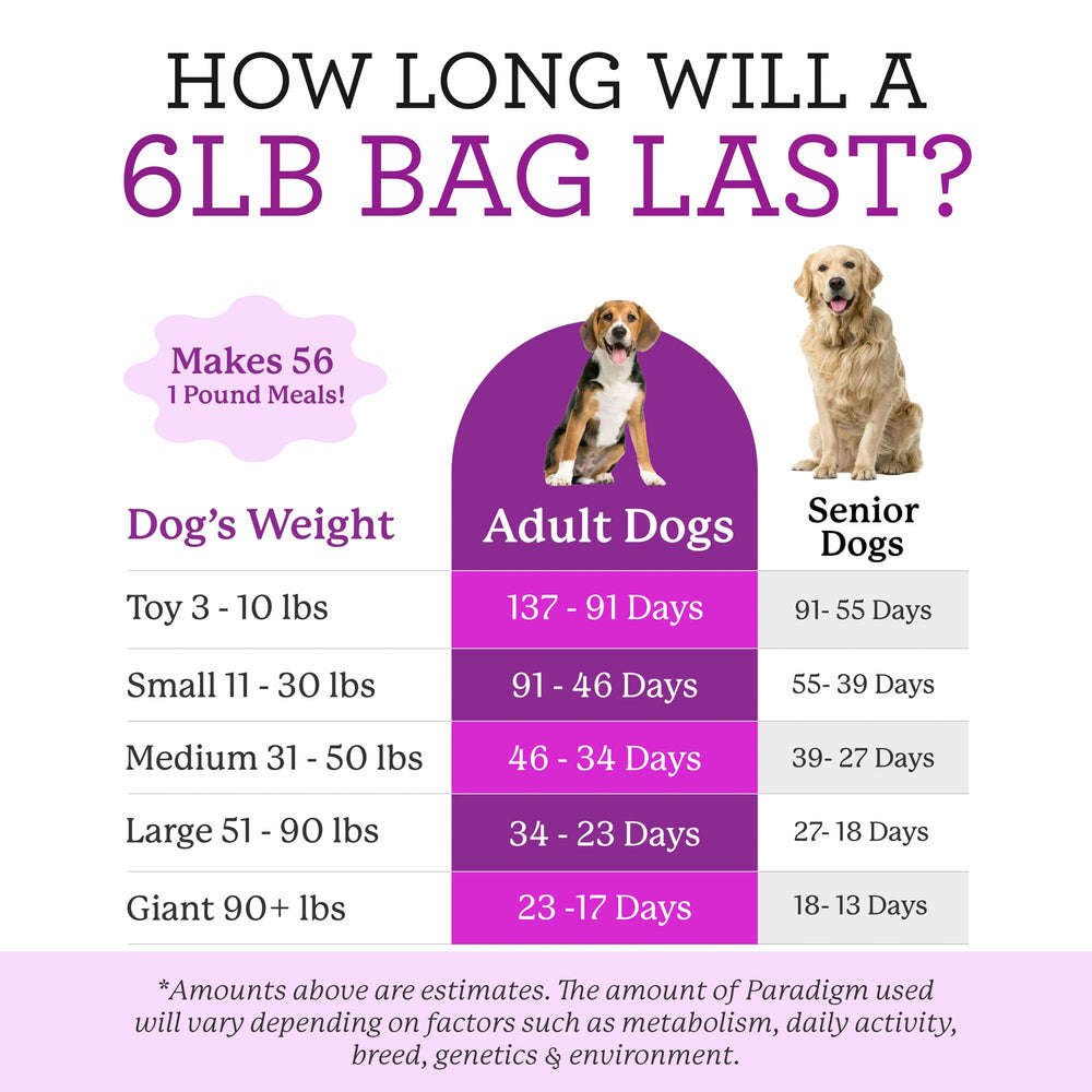 Dr. Harvey's Paradigm Base: préparation facilitée en quelques minutes pour chien enthousiaste.