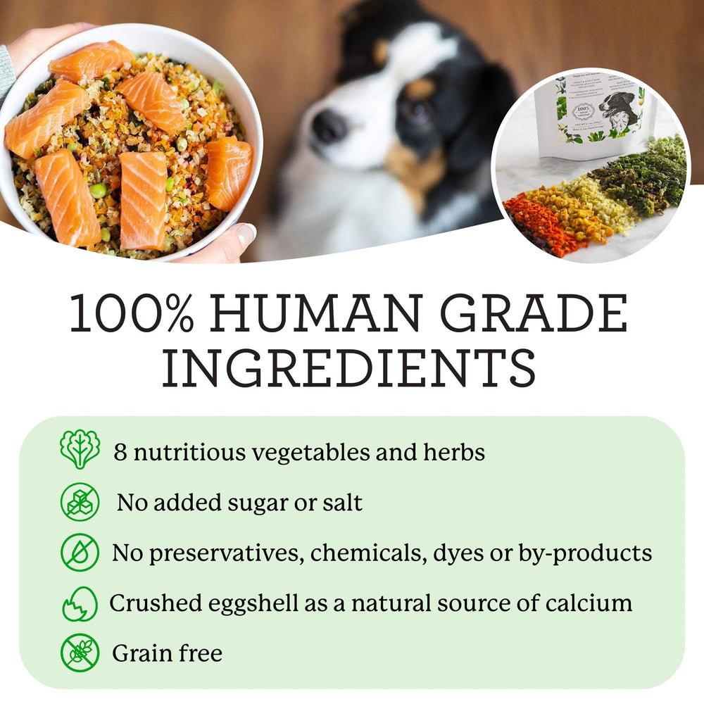 Herbes biologiques visibles dans Dr. Harvey's Veg-to-Bowl pour des nutriments naturels.
