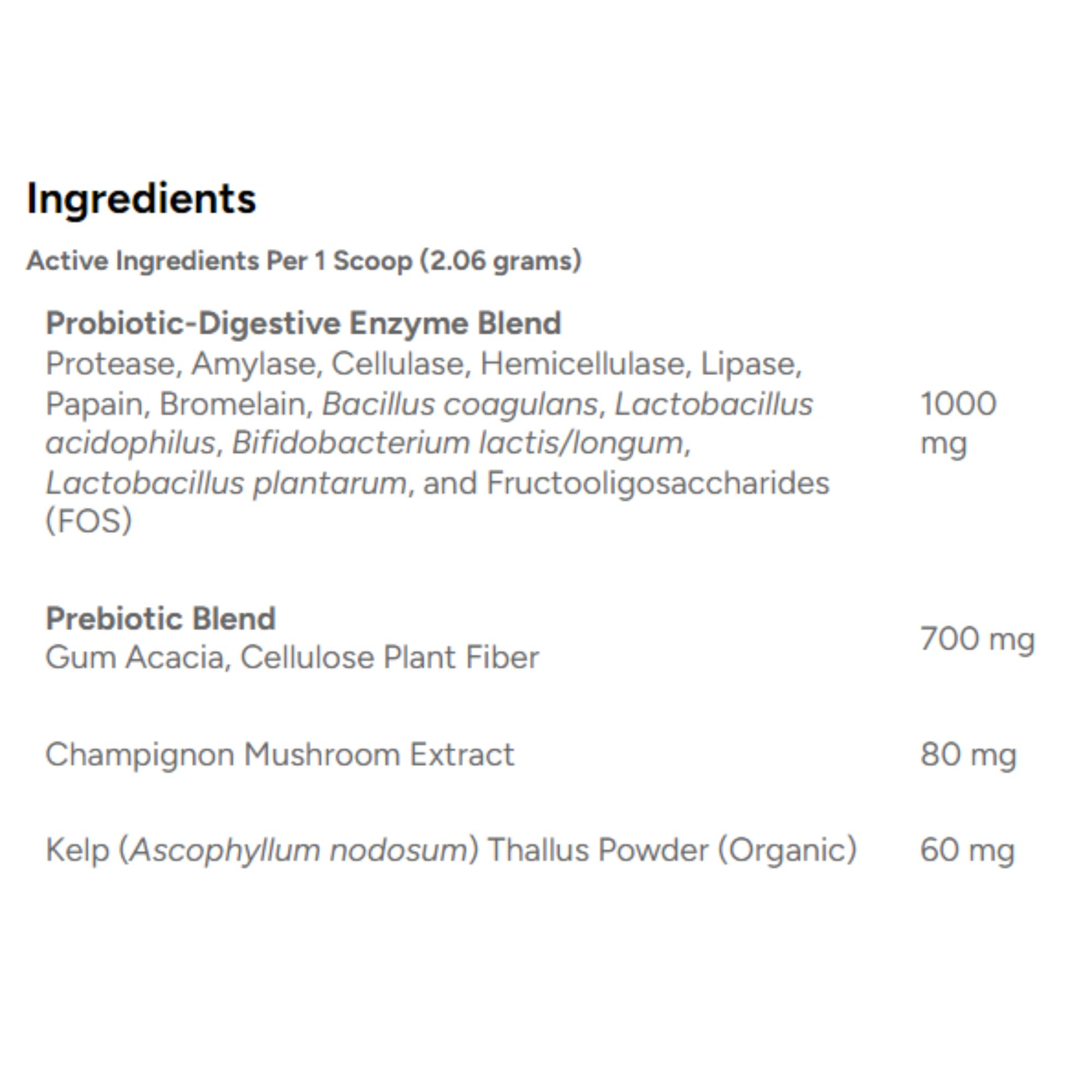 Dr. Marty ProPower Plus — poudre ajoutée dans la nourriture, soutien digestif pratique.