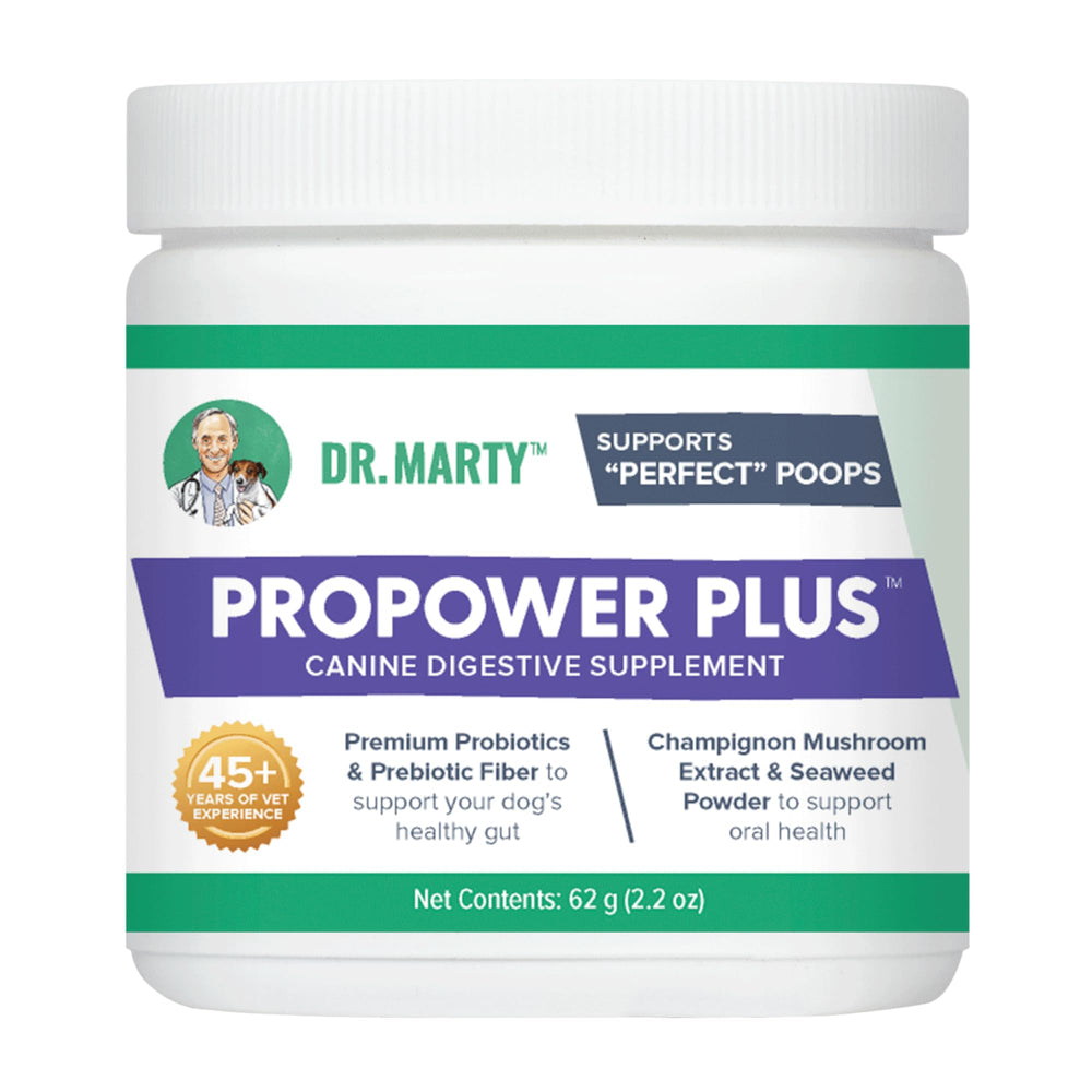 Dr. Marty ProPower Plus — bouteille-poudre, pour soutien digestif du chien.