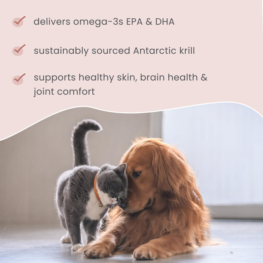 Dr. Mercola Bark & Whiskers Krill Bites, sans gélatine synthétique, douceur naturelle.