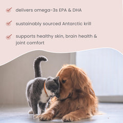 Dr. Mercola Bark & Whiskers Krill Bites, sans gélatine synthétique, douceur naturelle.