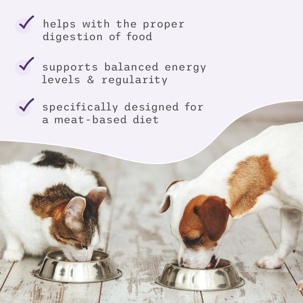 Dr. Mercola Bark & Whiskers: chien dans sa nourriture, mélange facile.