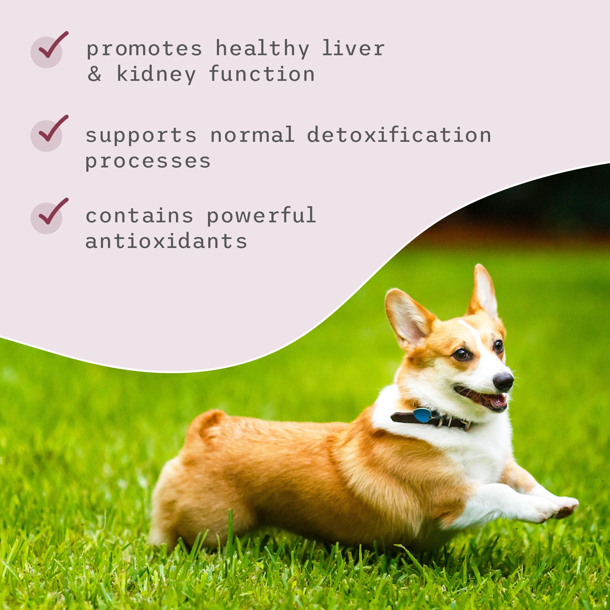 Dr Mercola Bark et Whiskers Detox Support, adapté pour chiens et chats en usage quotidien.