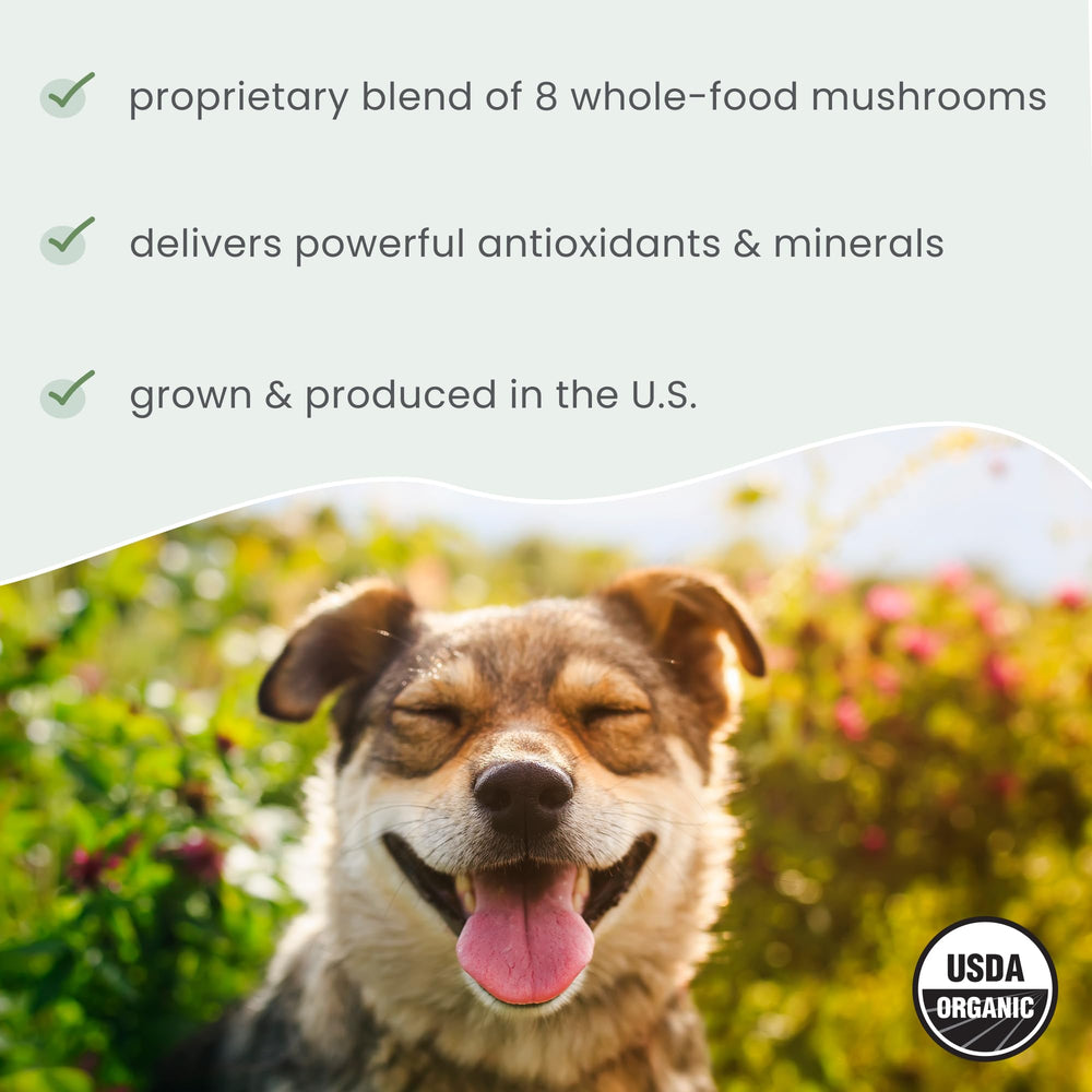 Dr. Mercola Bark & Whiskers – doseur-poudre: dosage quotidien pratique pour les animaux