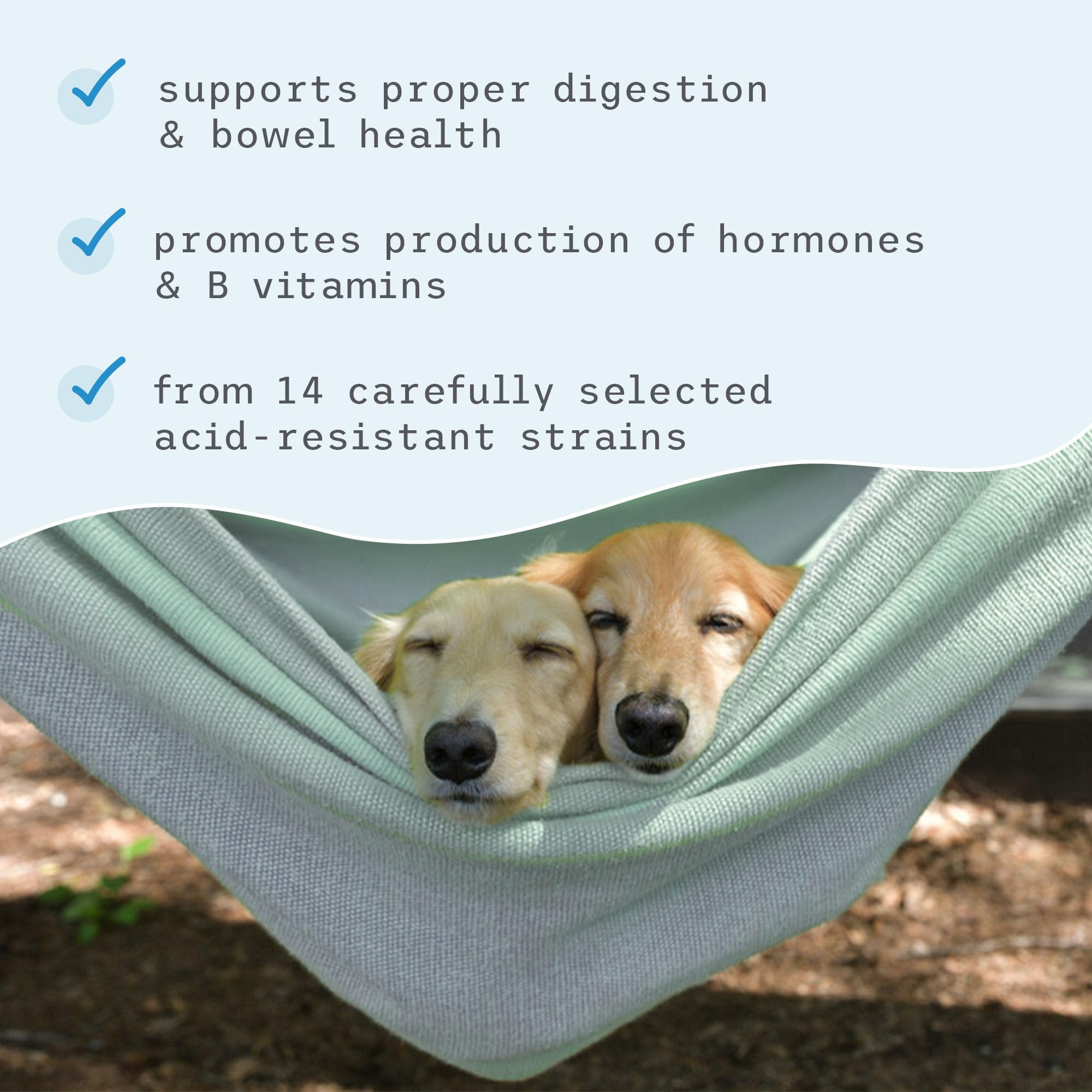Dr. Mercola Bark & Whiskers: Sans OGM, sans soja, sans gluten pour chiens et chats.
