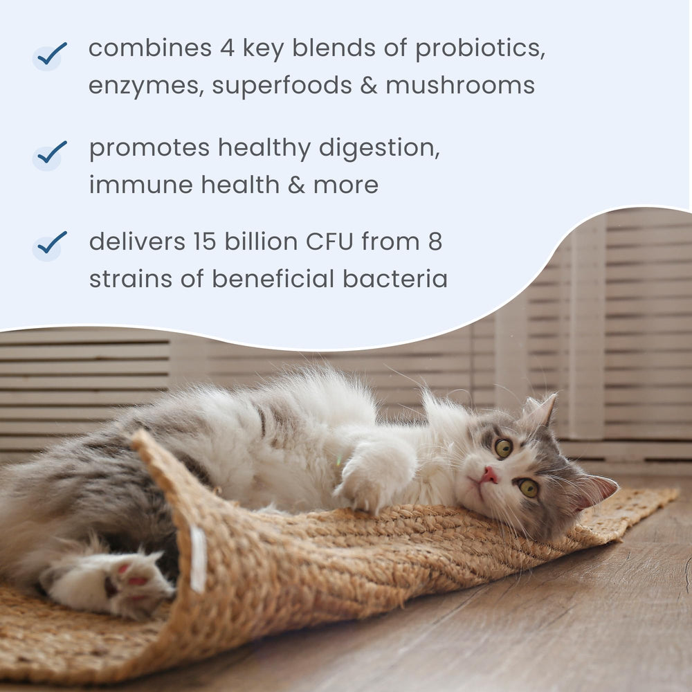 Dr. Mercola Bark & Whiskers ingrédients fermentes et probiotiques pour le systeme digestif