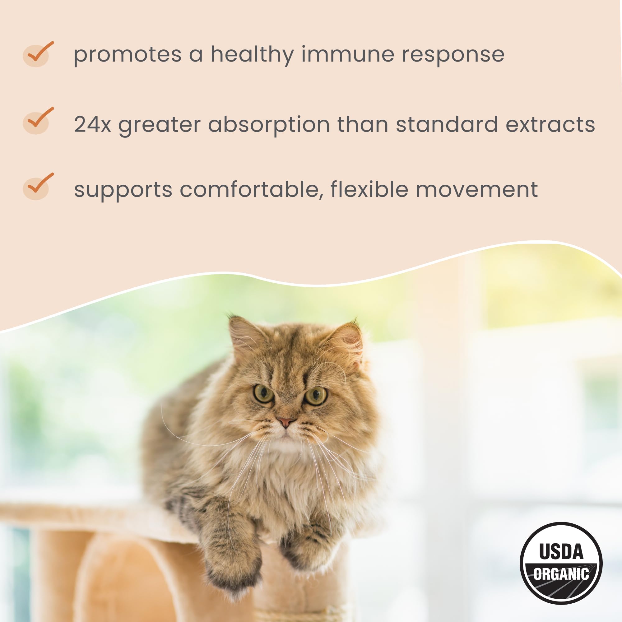 Dr. Mercola Bark & Whiskers Curcumin, certifié USDA Organic et sans OGM