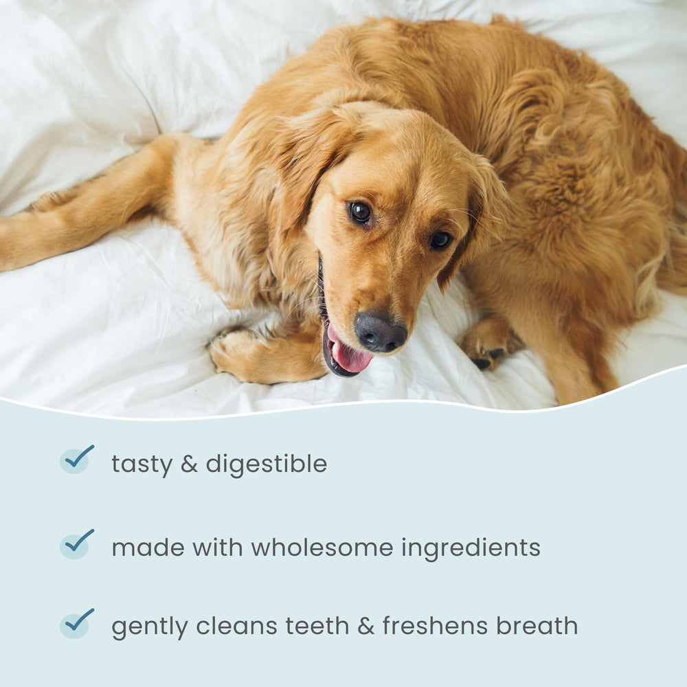 Dr Mercola Bark & Whiskers – os digestible, utilisation quotidienne facile.