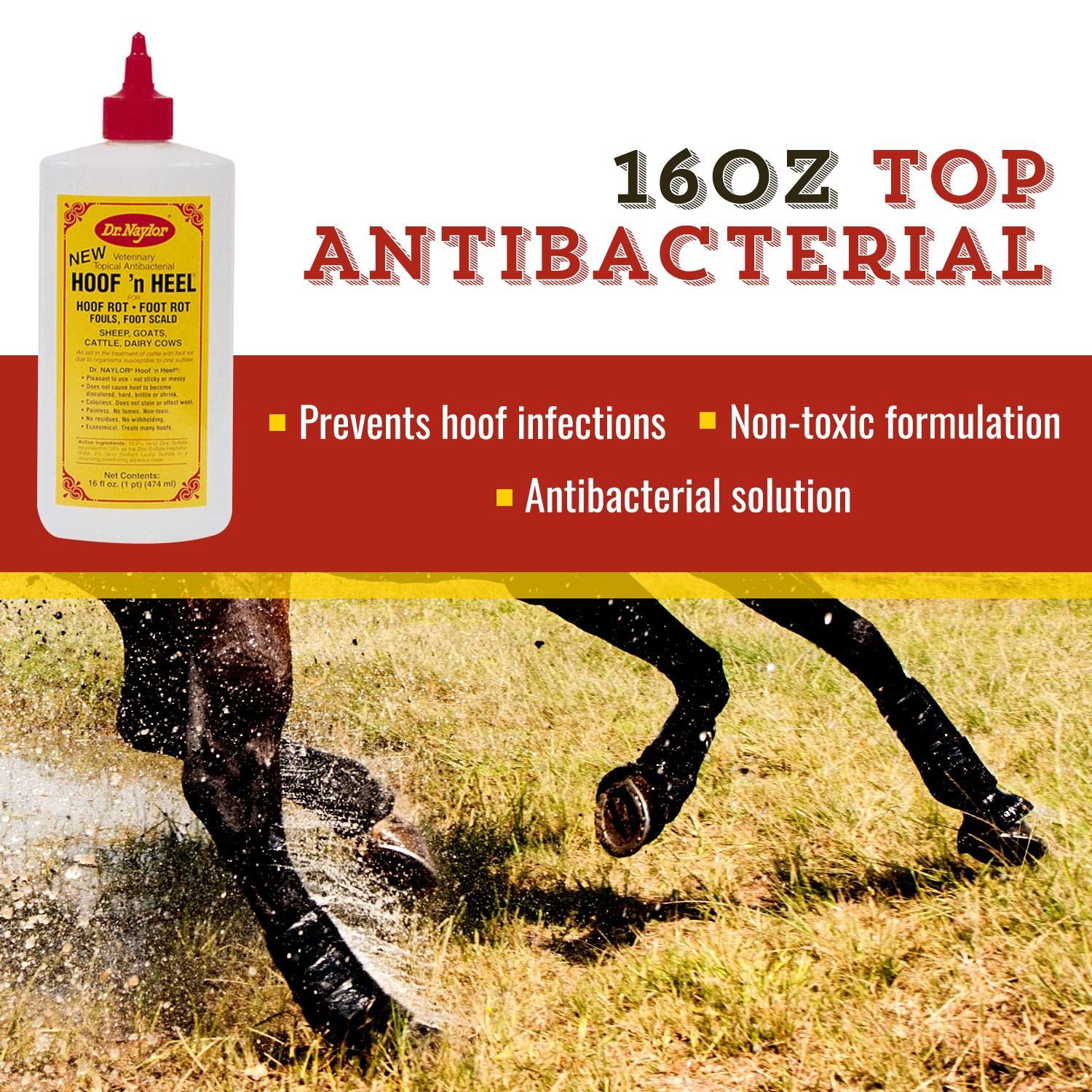 Dr. Naylor Hoof 'N Heal — application sur le sabot pour un soin ciblé et efficace.