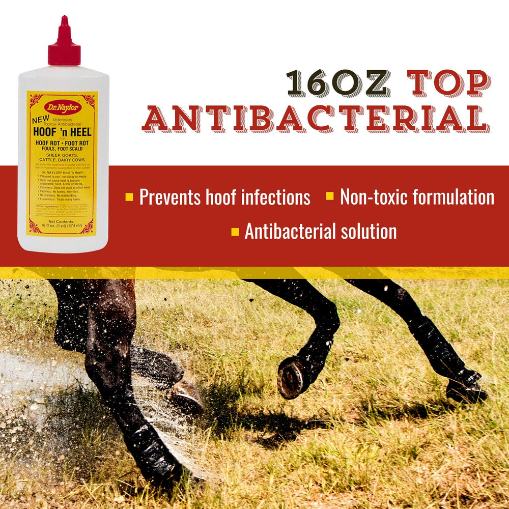 Dr. Naylor Hoof 'N Heal — application sur le sabot pour un soin ciblé et efficace.