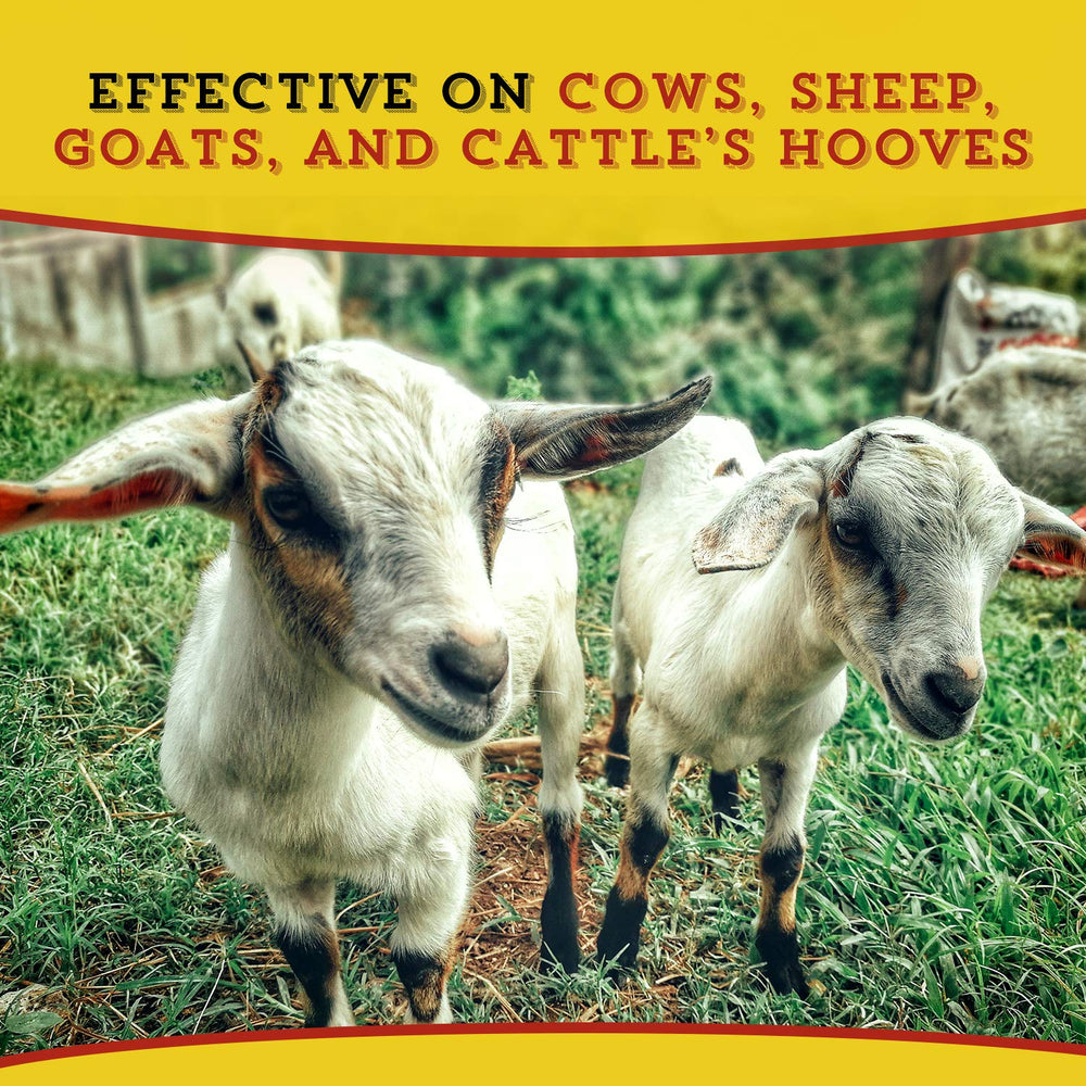 Dr. Naylor Hoof 'N Heal, sabots bovins et ovins, soutien possible du bien-être.