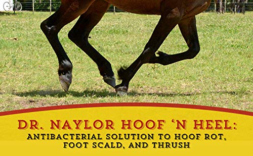 Dr. Naylor Hoof 'N Heal, sabots équins — usage pratique en étable.
