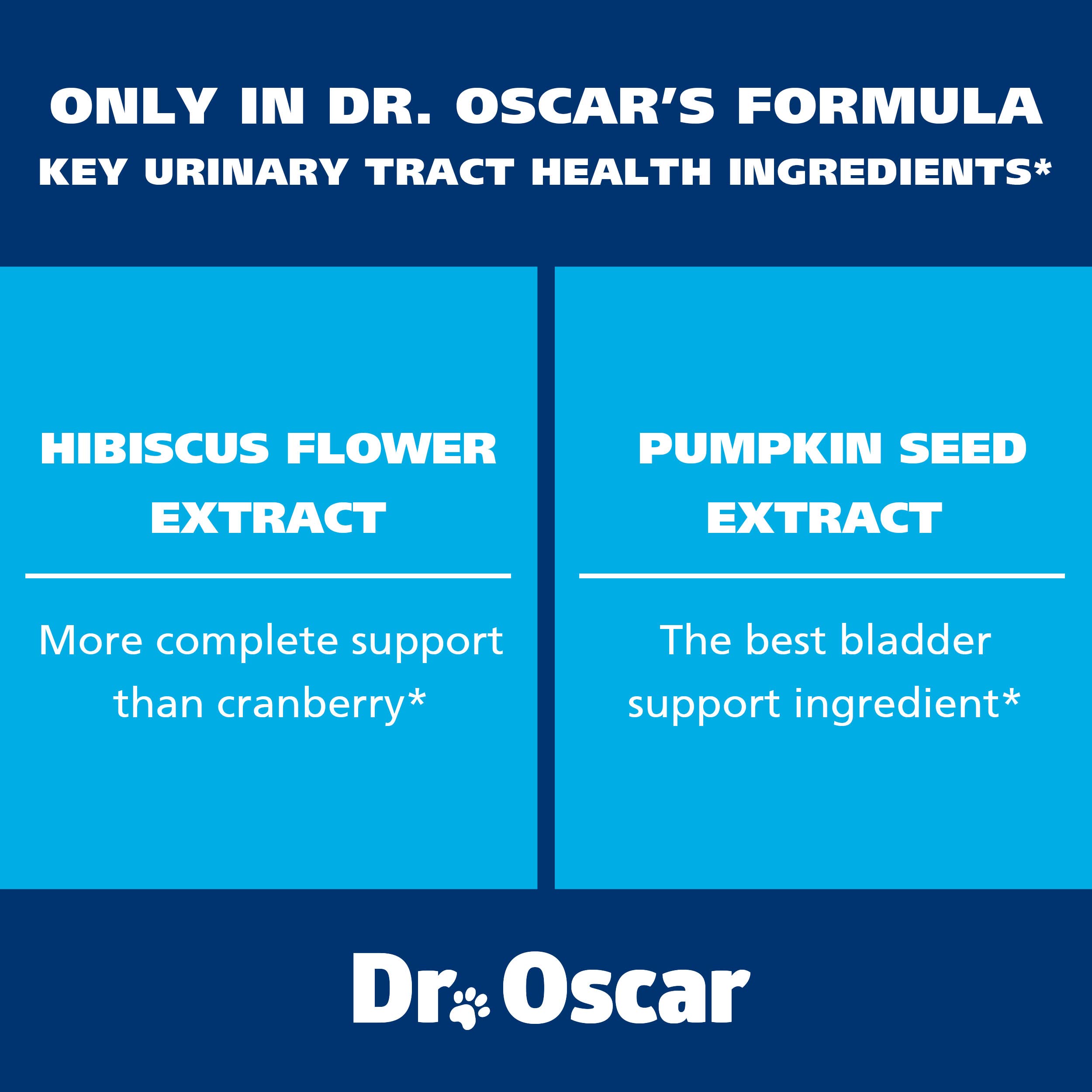 Dr Oscar tablettes graines citrouille, soutien potentiel à la fonction de la vessie.