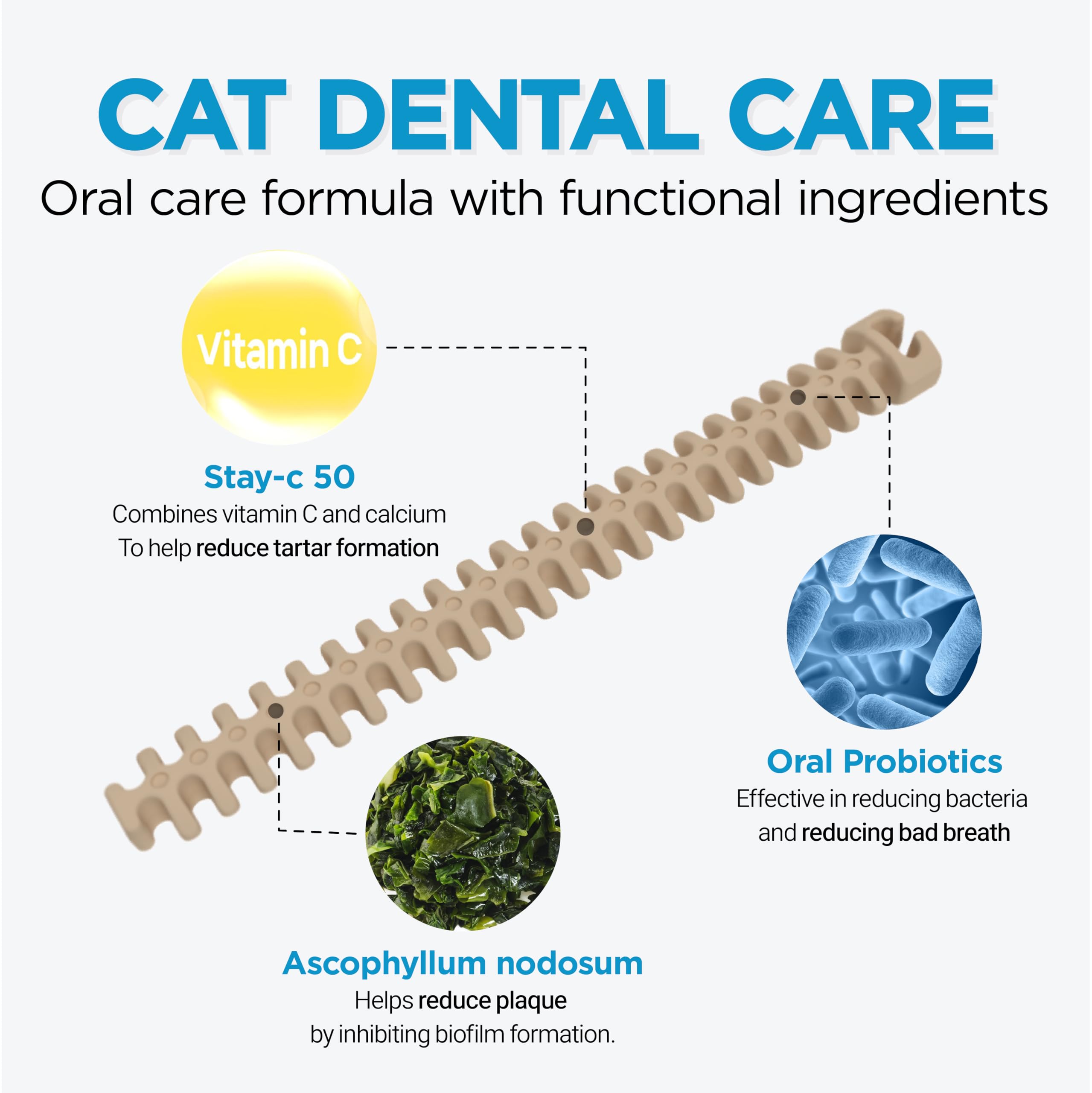 DR.PETRA CatZZLE design ridgé: friction efficace sur les dents durant la mastication.