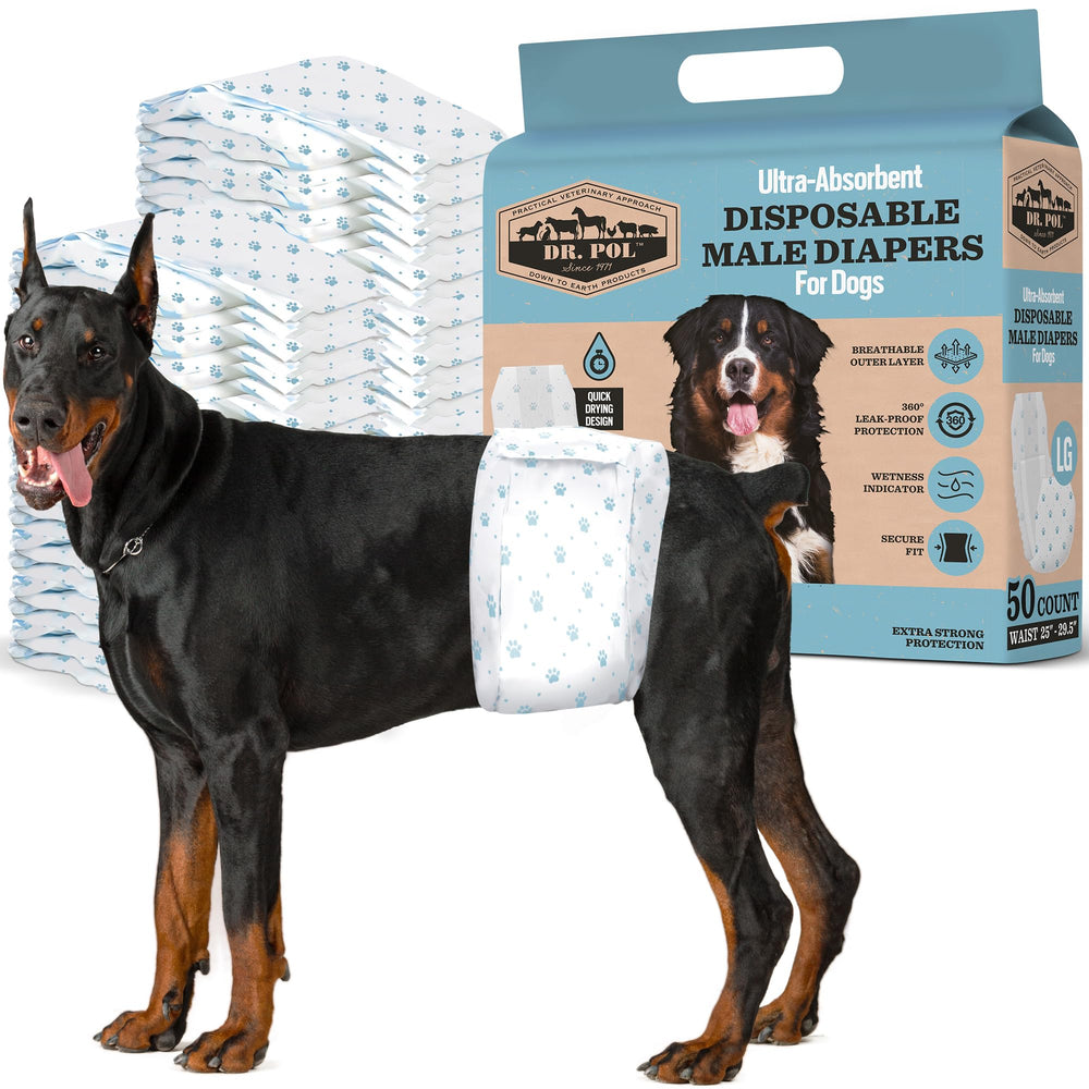 Dr. Pol couches pour chien male, absorption maximale pour rester au sec.