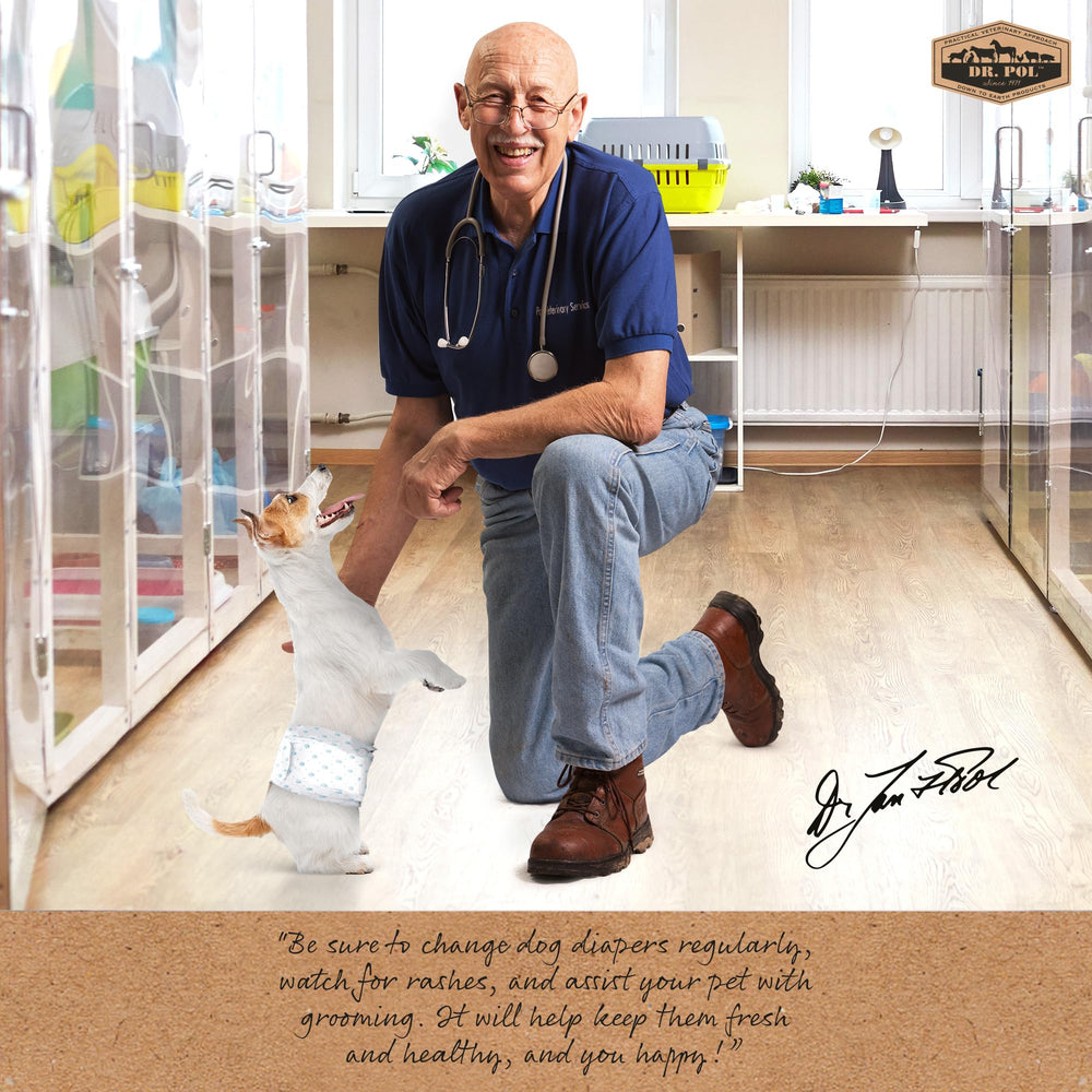Dr. Pol couches pour chien male, fermeture reglable pour un ajustement sûr.
