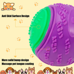 Balles DragonflyDreams pour chien, diamètre 2,5 pouces, adaptées aux chiens moyens et grands.