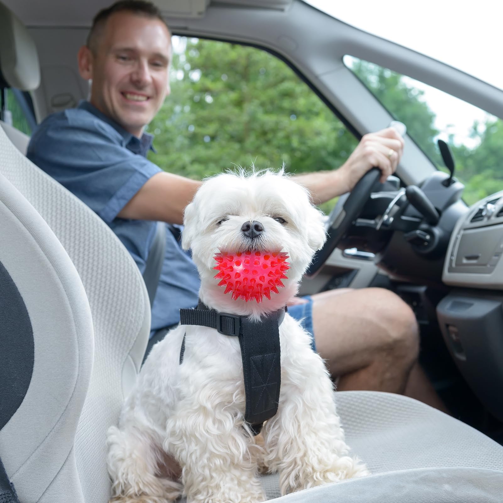 Chien jouant à lancer et rapport avec balle lumineuse