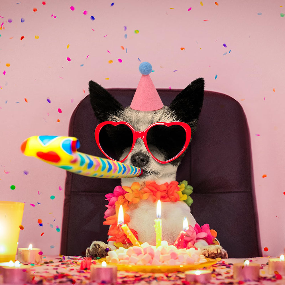 Accessoires déco animaux DRANSMIC pour anniversaires